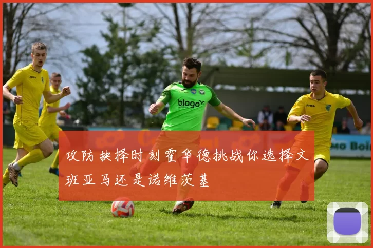 攻防抉择时刻霍华德挑战你选择文班亚马还是诺维茨基