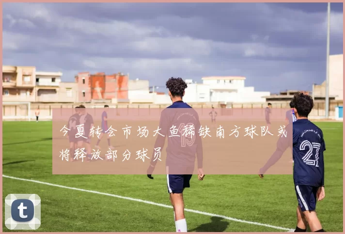 今夏转会市场大鱼稀缺南方球队或将释放部分球员