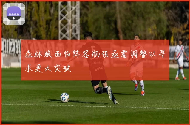 森林狼面临阵容瓶颈亟需调整以寻求更大突破